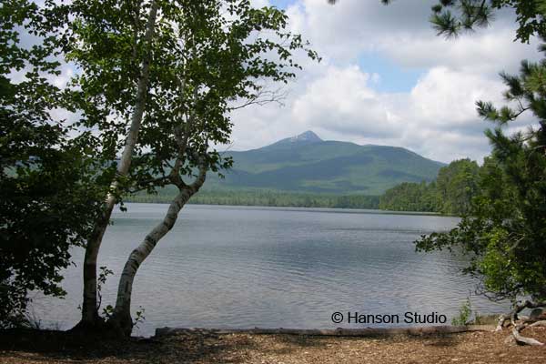 Mt. Chocorua, NH - with Birches